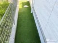 犬走りの雑草対策