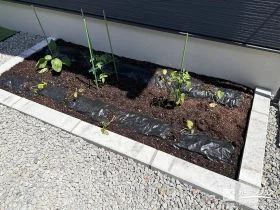 ご自宅のお庭で家庭菜園を楽しめる菜園スペースづくり工事