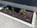 ご自宅のお庭で家庭菜園を楽しめる菜園スペースづくり工事