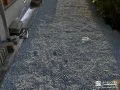 砂利で雑草対策をした犬走り