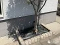 植栽を残しながらお手入れの手間を軽減
