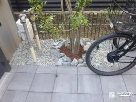 シマトネリコと自然石で彩るコンパクトな植栽スペース[施工後]