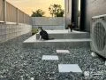猫ちゃんの日向ぼっこにも活躍するタイルデッキ