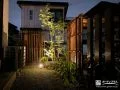 光と影で植栽を引き立てる夜のお庭
