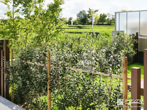 植栽の外構施工例一覧 外構工事のガーデンプラス 植栽の外構施工例一覧 外構工事のガーデンプラス