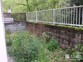 施工前の雑草で覆われた状況[施工後]