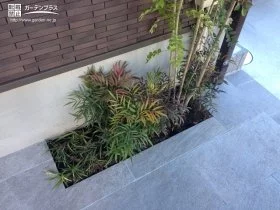 玄関横植栽[施工後]