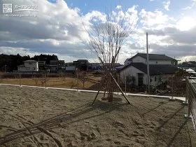 お庭のシンボルツリーと開放感のある外周フェンス[施工後]