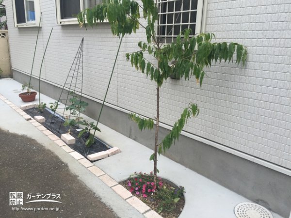 ちょっとしたスペースでオシャレにガーデニングを楽しむ外構リフォーム工事 No 6621 花壇 菜園 芝生の施工例 外構工事のガーデンプラス