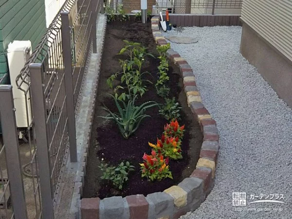 優しい曲線をお庭に描く3色の可愛いピンコロ花壇