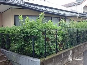 お庭の魅力ある植栽のさわやかさと風にそよぐ彩りを楽しめる外周フェンス[施工後]