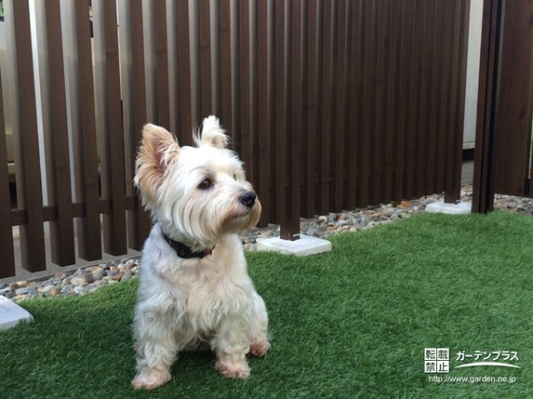 新潟県の外構施工例一覧 50万円 100万円 外構工事のガーデンプラス