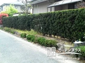 施工ポイント1