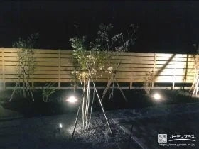 夜の樹形を美しく眺められるお庭
