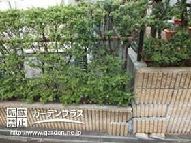 施工ポイント5
