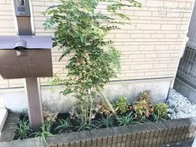 門まわりを明るく彩る植栽[施工後]