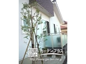 施工ポイント1