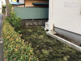 青々とした芝生で明るく優しい主庭[施工後]