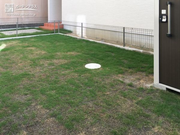 天然芝で目にも優しい憩いの空間を演出する主庭のリフォーム工事 No 8690 花壇 菜園 芝生の施工例 外構工事のガーデンプラス