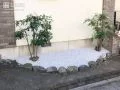 グリーンの美しさが引き立つ植栽スペース