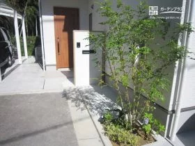 優しい雰囲気を醸し出すシンボルツリー[施工後]