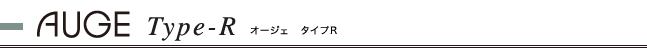 オージェタイプR　お見積り例