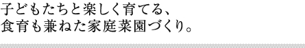 子どもたちと楽しく育てる、食育も兼ねた家庭菜園づくり。