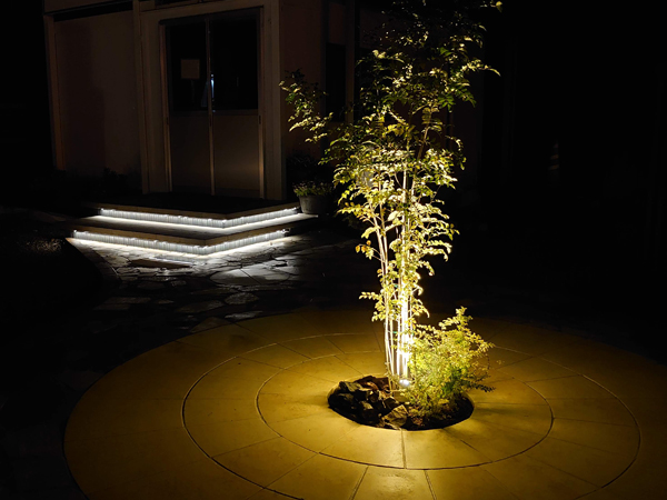 ガーデンプラス鹿児島のライトアップされた植栽
