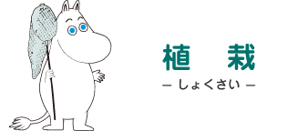 植栽 - しょくさい - ムーミン