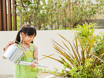 明るいお花が訪れる人を魅了する花壇