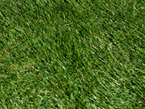 鮮やかな緑の人工芝