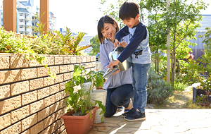 自然石の縁取りの花壇