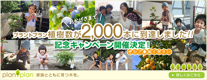 プラントプランの植樹数2000本到達を記念してキャンペーンを実施いたします。