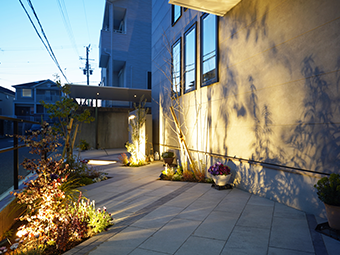 壁面に植栽の影を映し出すシャドーライティング