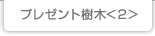 プレゼント樹木<2>