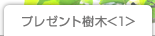 プレゼント樹木<1>