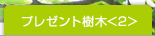 プレゼント樹木<2>