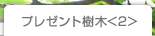プレゼント樹木<2>