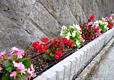 外構周りをお花で色とりどりに