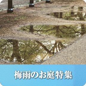 快適な梅雨のお庭特集