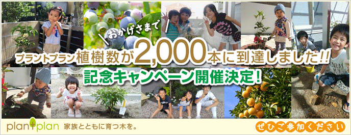 プラントプラン 2000本到達記念キャンペーン