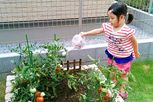 お庭の花壇で家庭菜園を楽しむ子ども