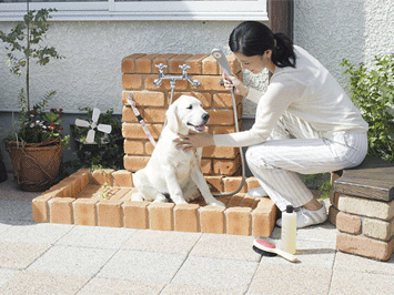 便利で使いやすいペット向けエクステリアも拡大中。