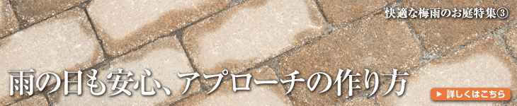 快適な梅雨のお庭特集③ 雨の日も安心、アプローチの作り方 詳しくはこちら