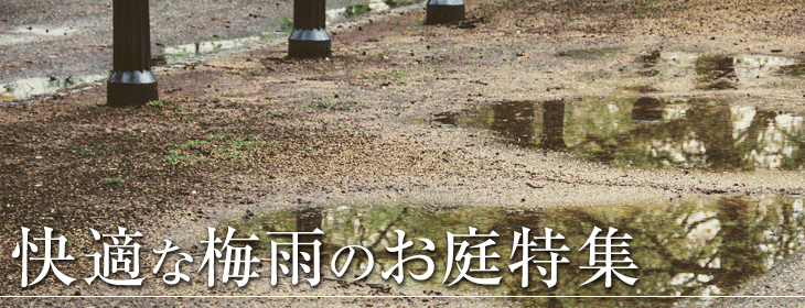 快適な梅雨のお庭特集