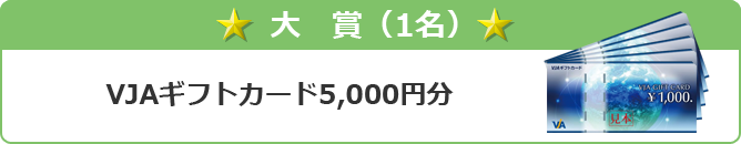 大賞 VJAギフトカード5,000円分