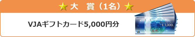 大賞 VJAギフトカード5,000円分