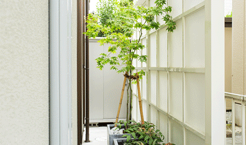 坪庭としても楽しめる植栽スペース