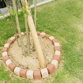 優しい色合いの植栽スペース