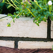 植栽を美しく引き立てる花壇